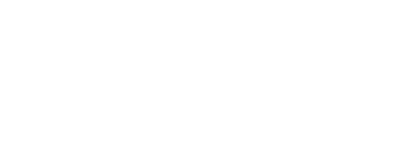CasinoMaxi logo