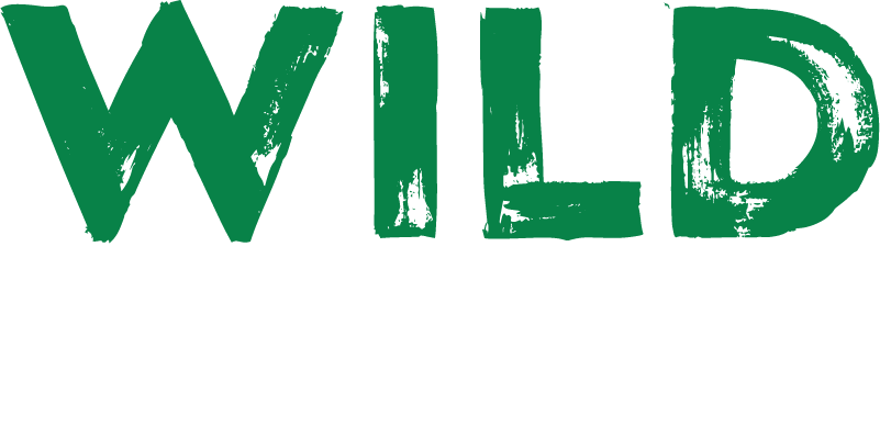 wildcasino as One of the Worst Gambling Websites with differemt games they offer
