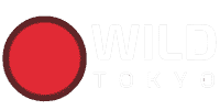wildtokyo as One of the Top-rated In-browser Casino Sites with best payouts