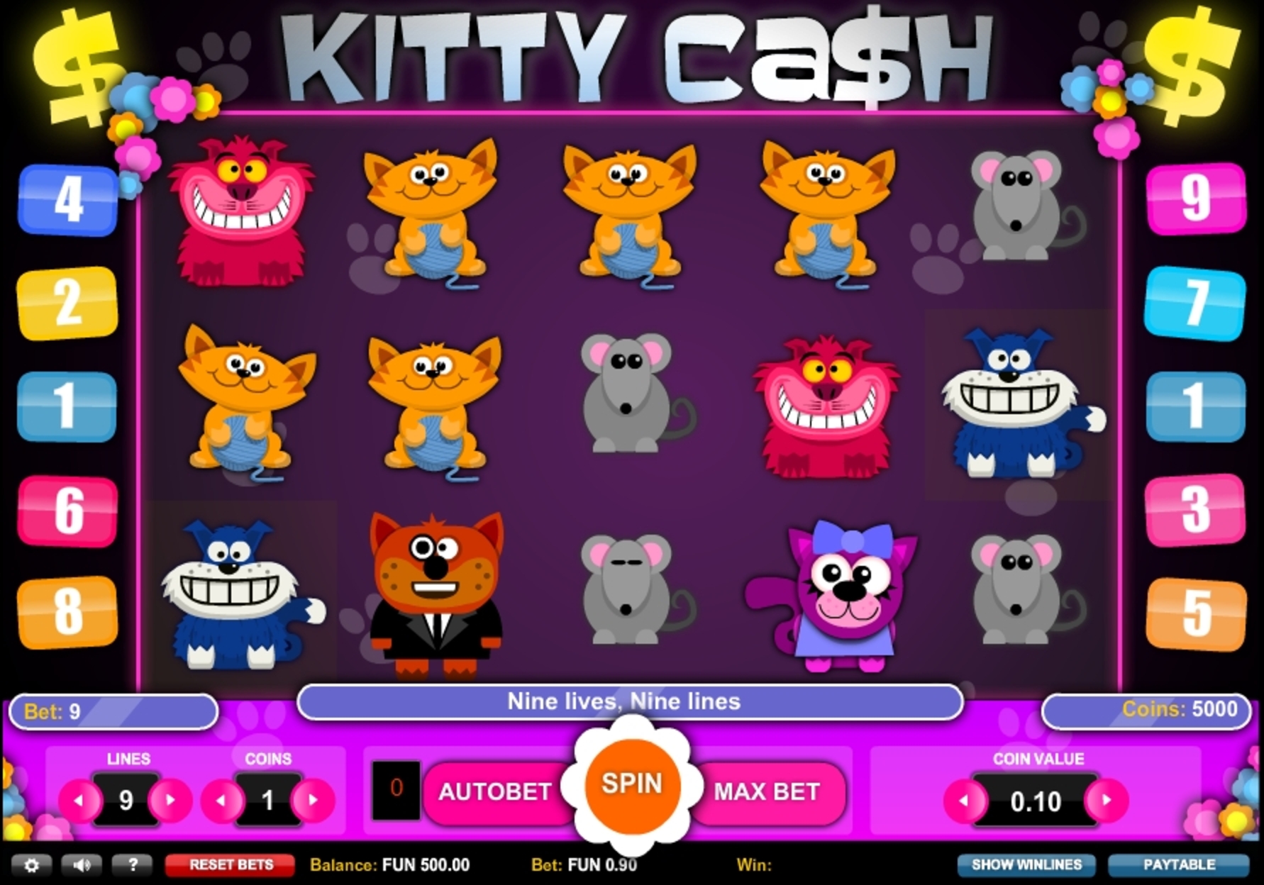 Reels in Kitty Cash Slot Game by 1x2 Gaming
