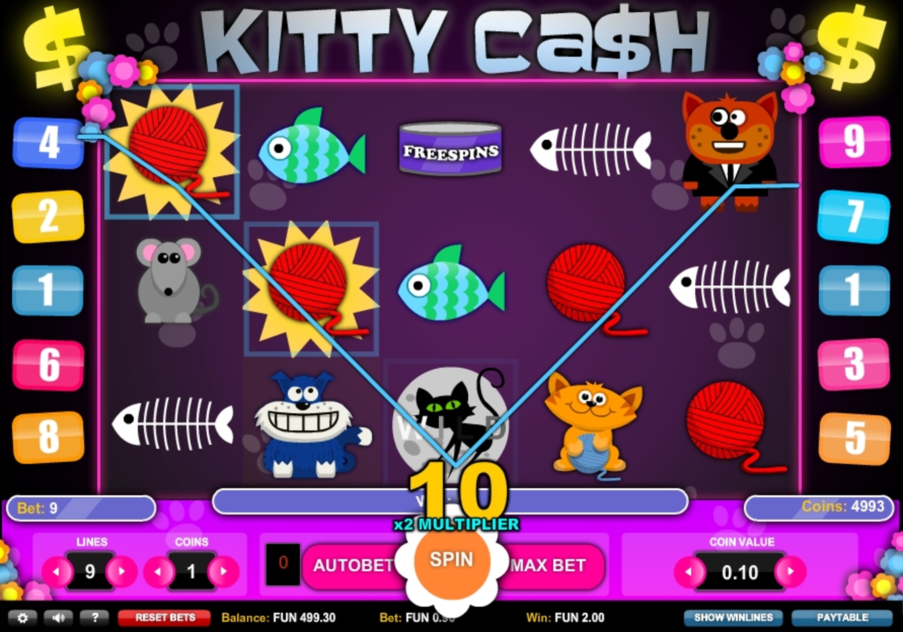 Win Money in Kitty Cash Free Slot Game by 1x2 Gaming