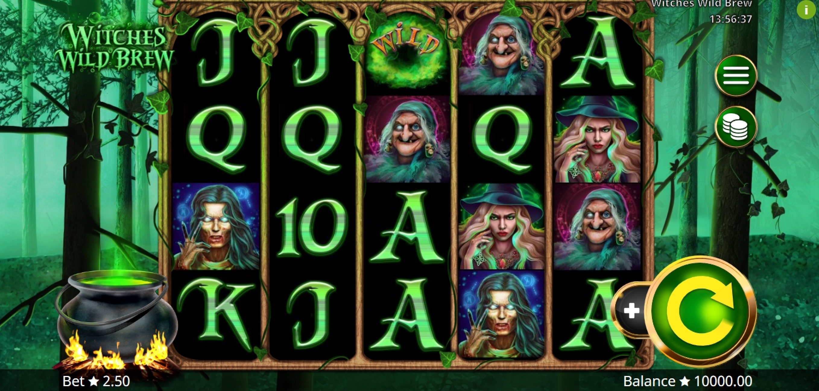 Reels in Witches Wild Brew Slot Game by Booming Games