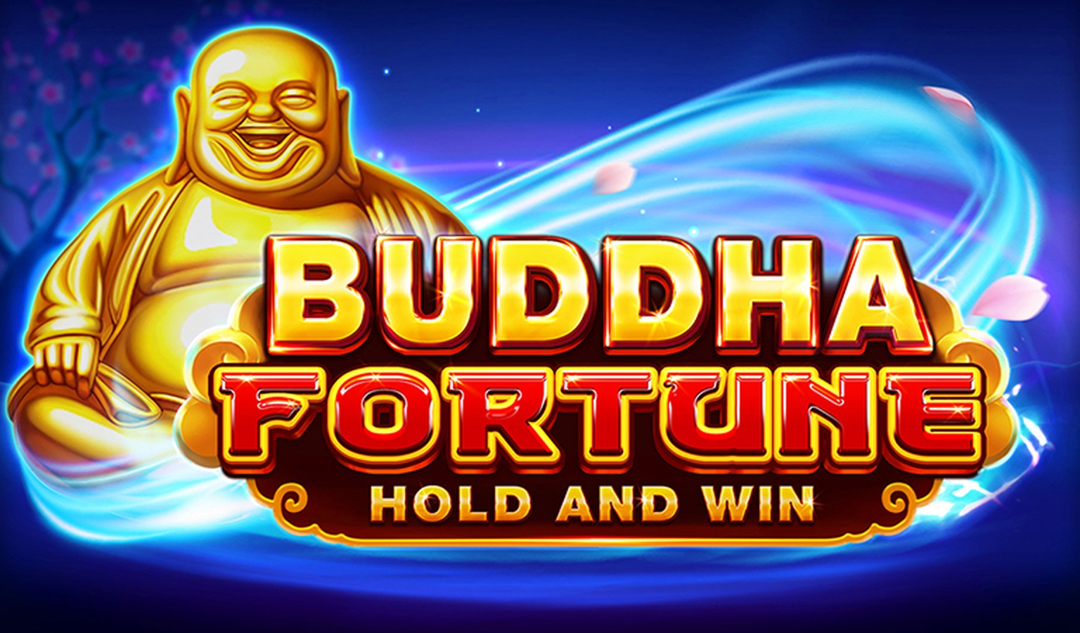Buddha Fortune Hold and Win demo