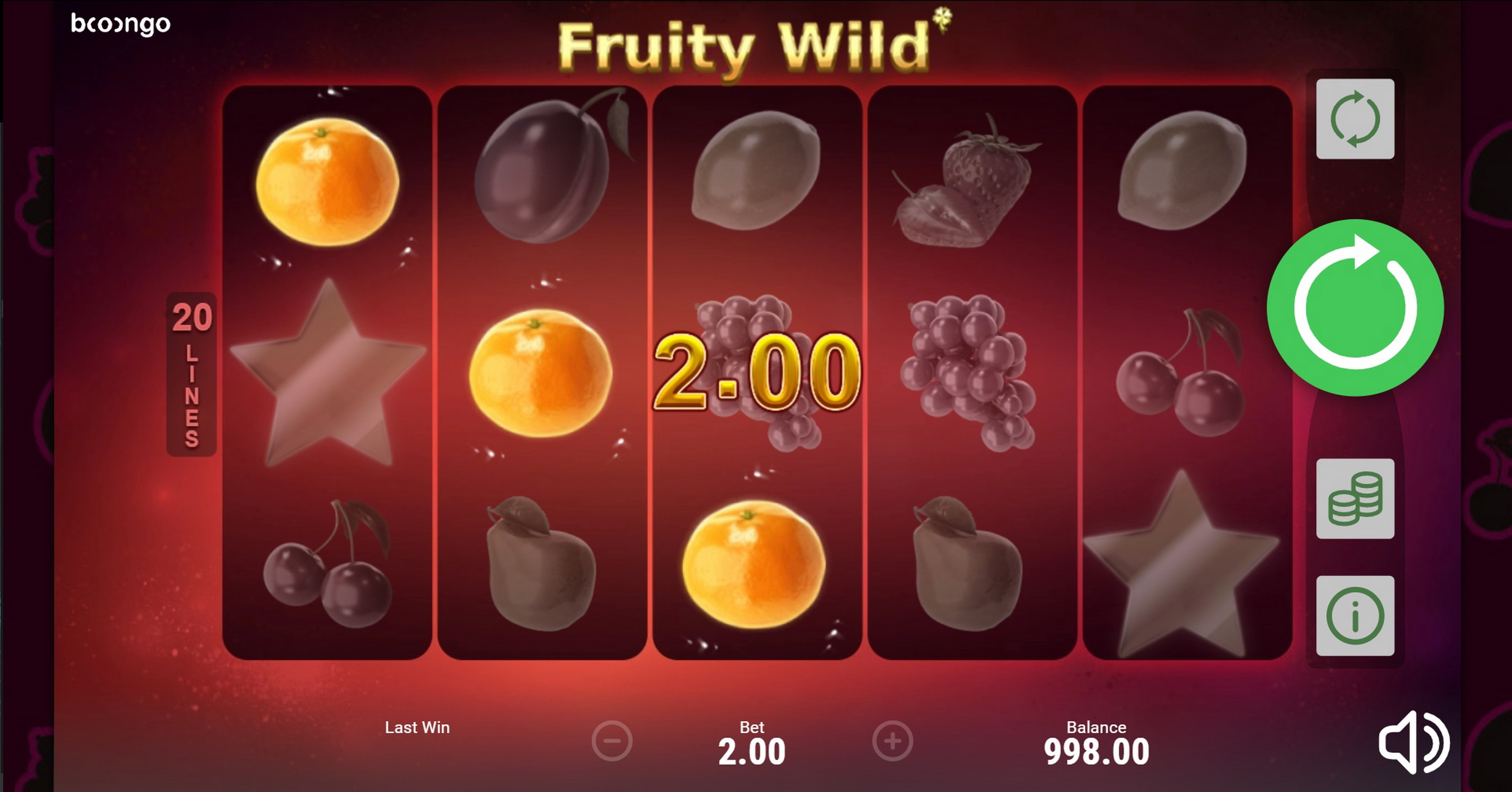 Win Money in Fruity Wild Free Slot Game by Booongo Gaming