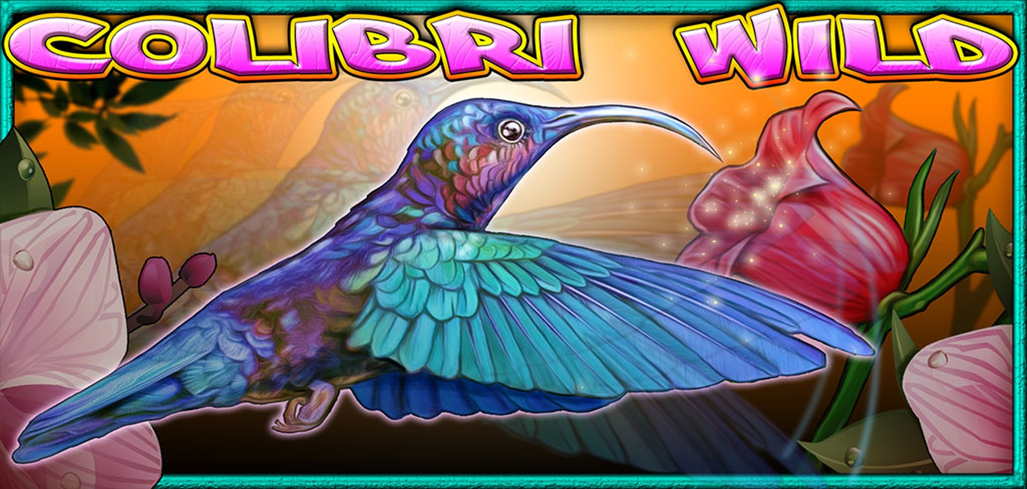 Colibri Wild demo