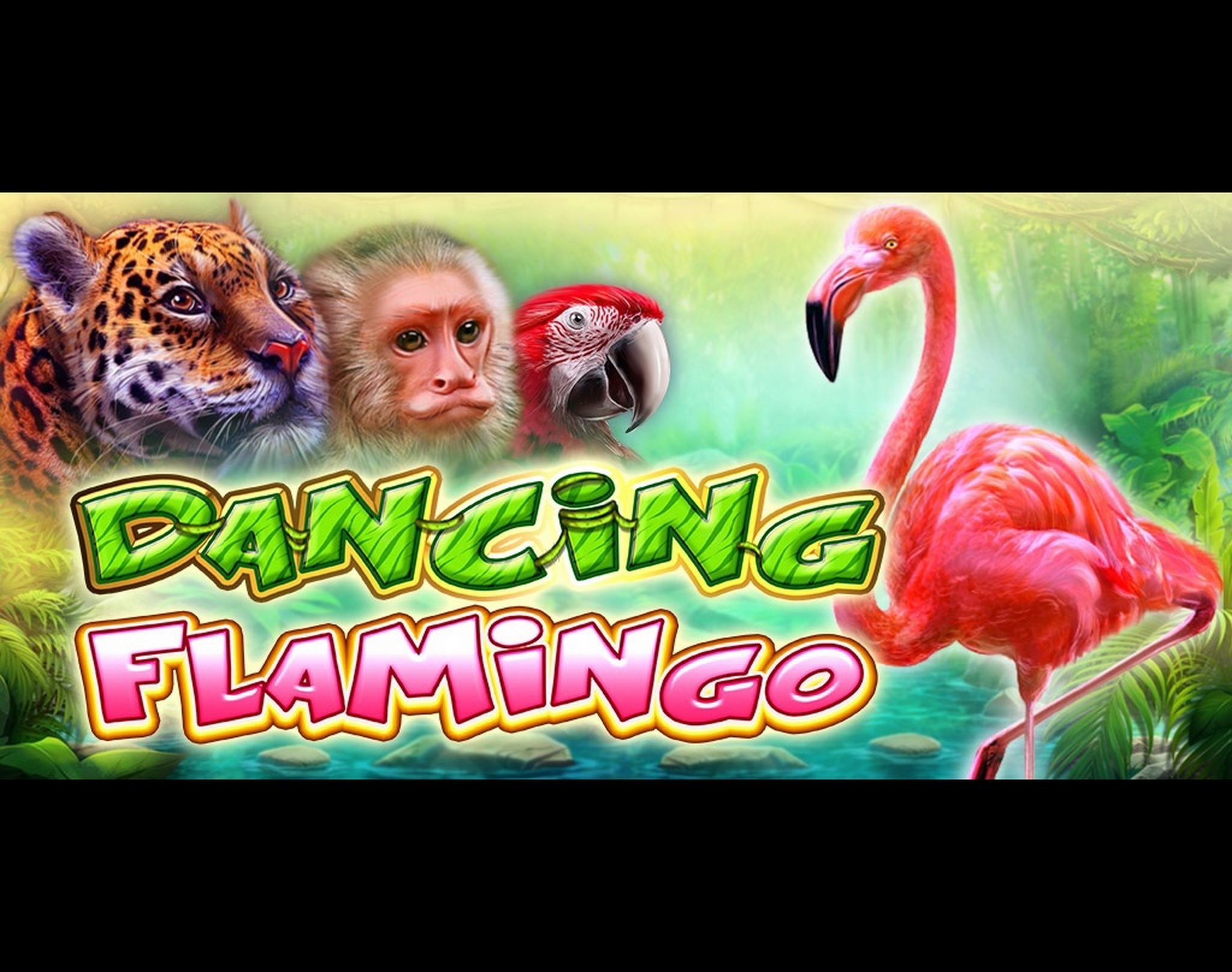Dancing Flamingo demo