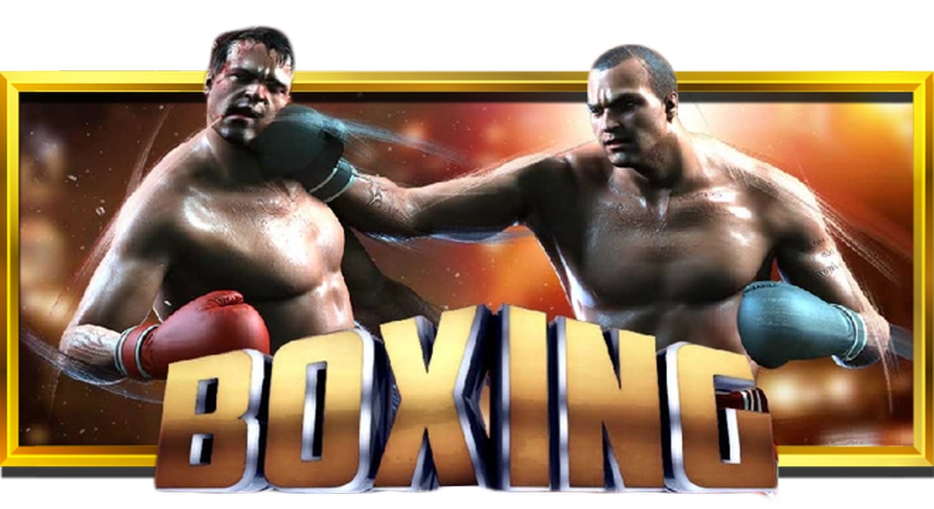 Boxing demo