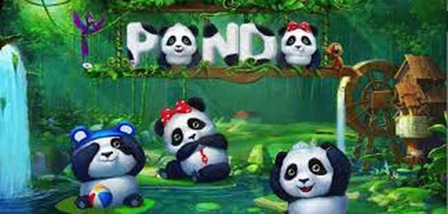 Panda demo