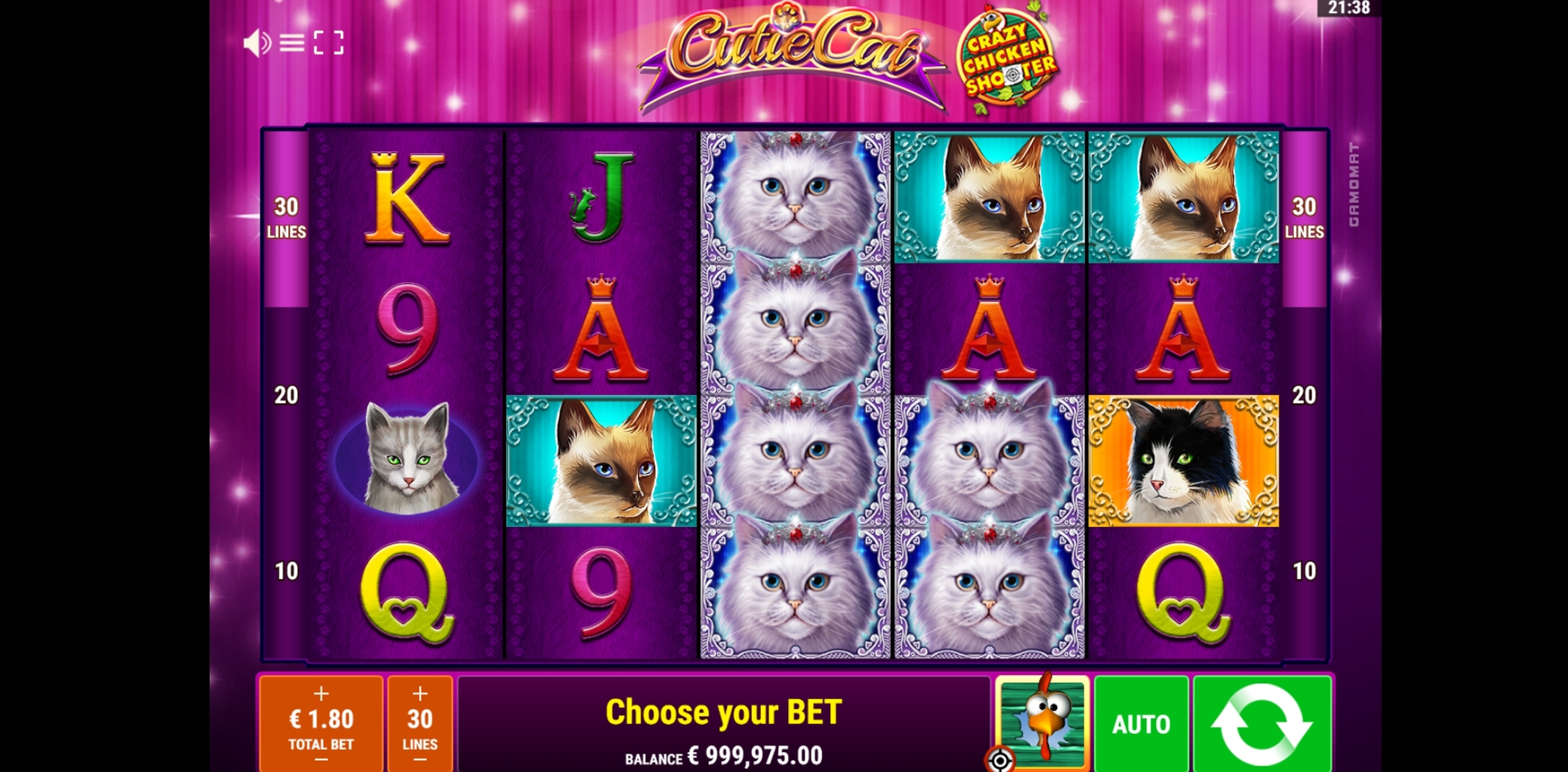 Reels in Cutie Cat CCS Slot Game by Gamomat