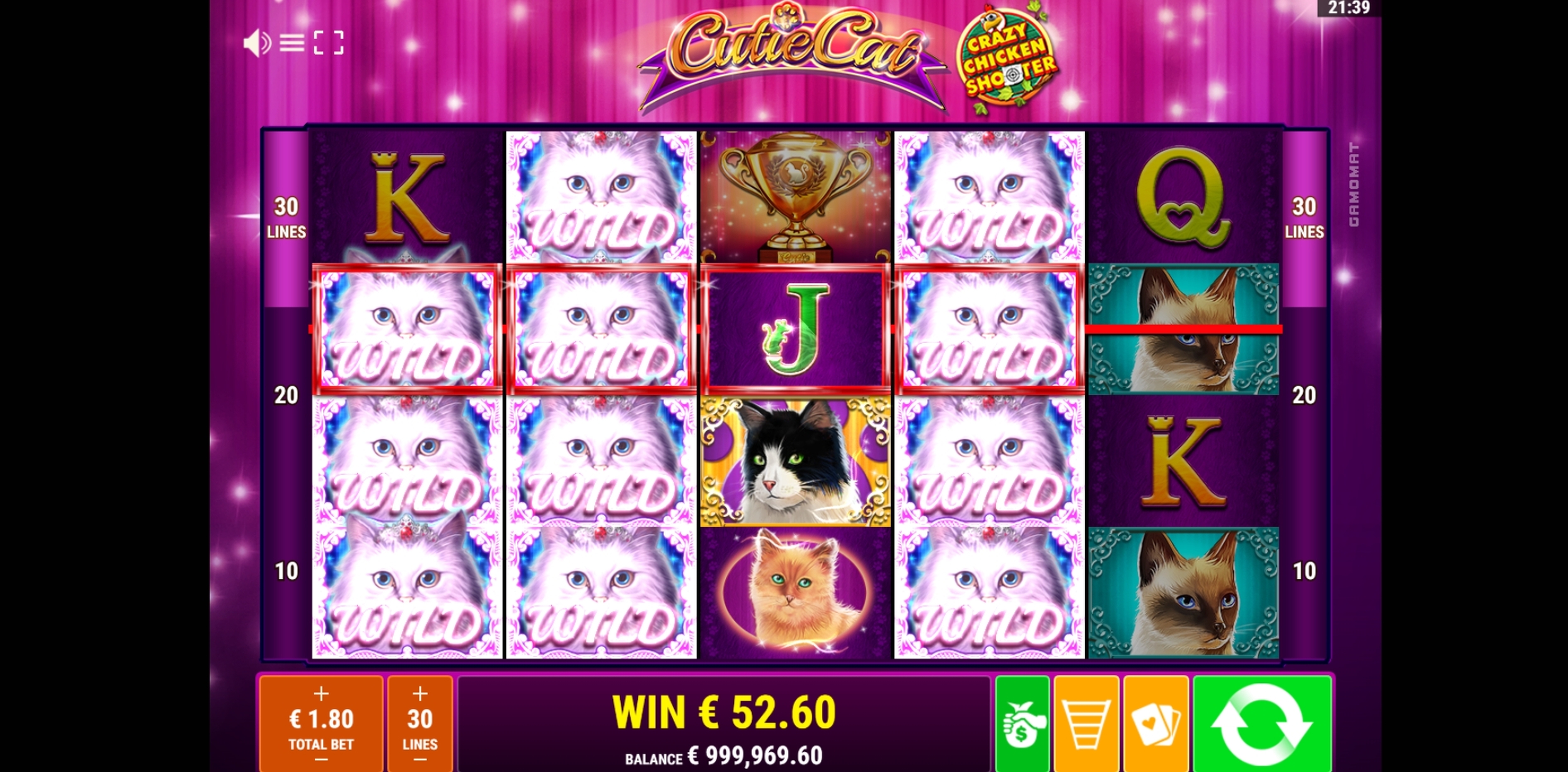 Win Money in Cutie Cat CCS Free Slot Game by Gamomat