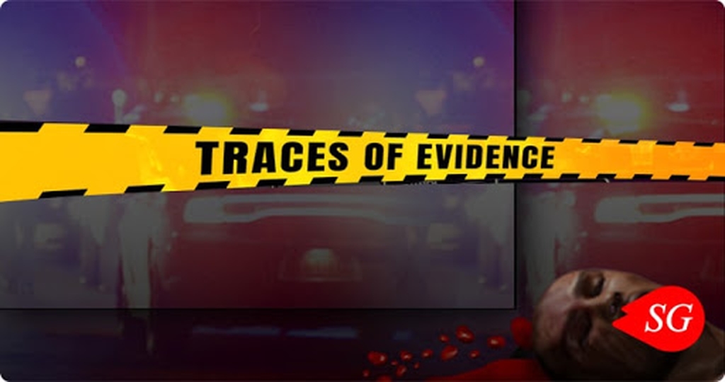 The Traces of Evidence Online Slot Demo Game by Genii