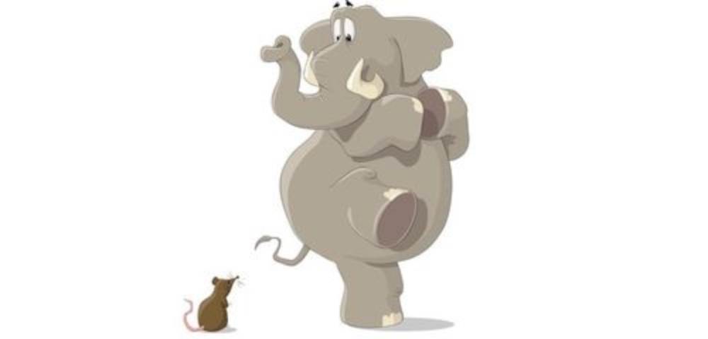 Elephant Scratch demo