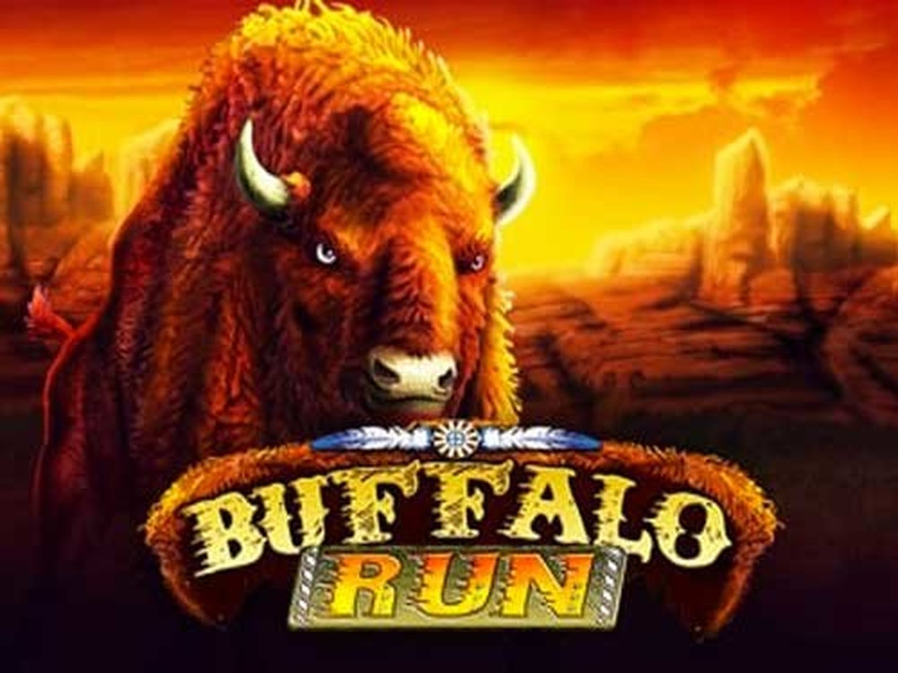 The Buffalo Run Online Slot Demo Game by GMW
