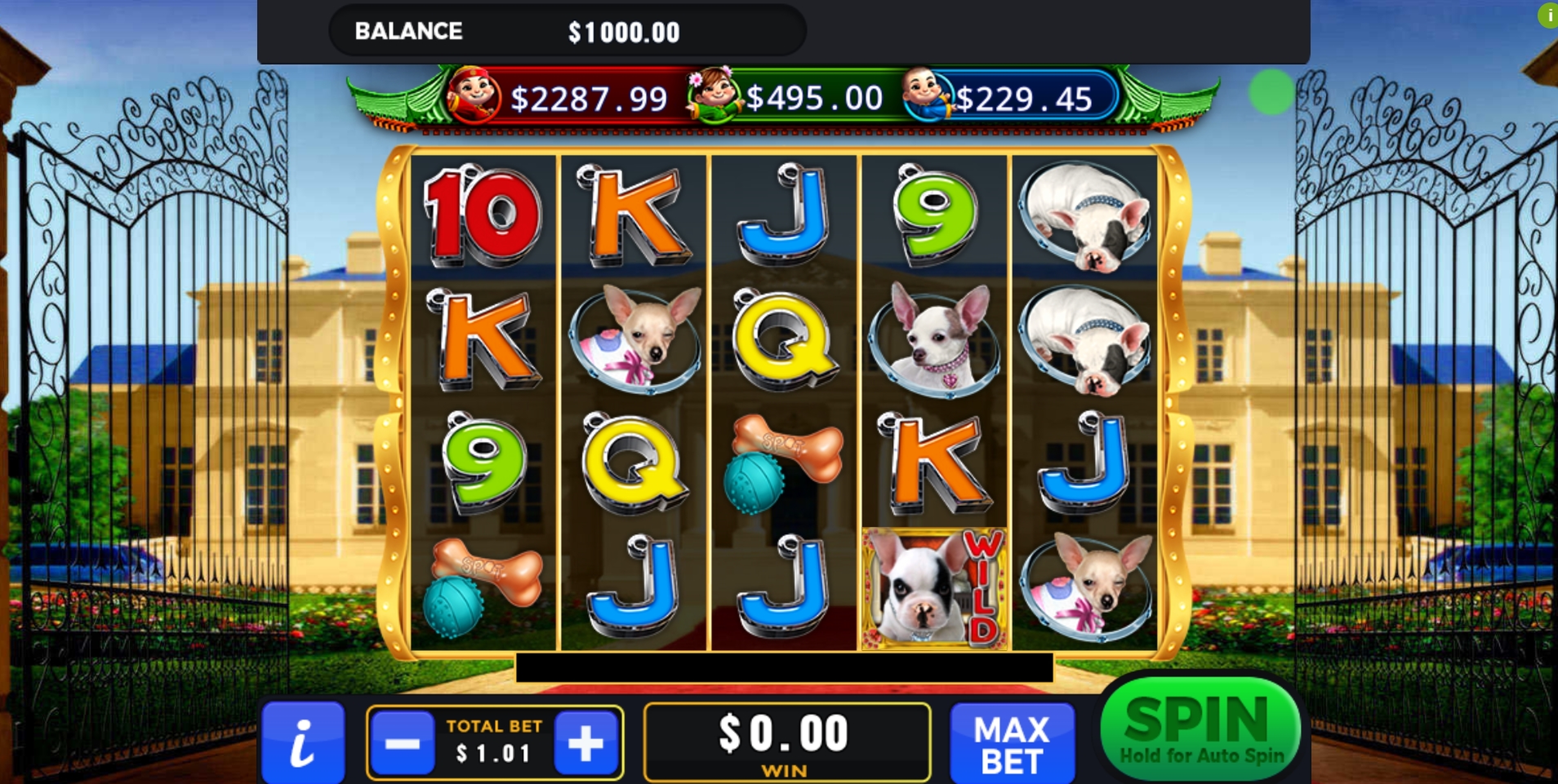 Reels in Spot (GMW) Slot Game by GMW