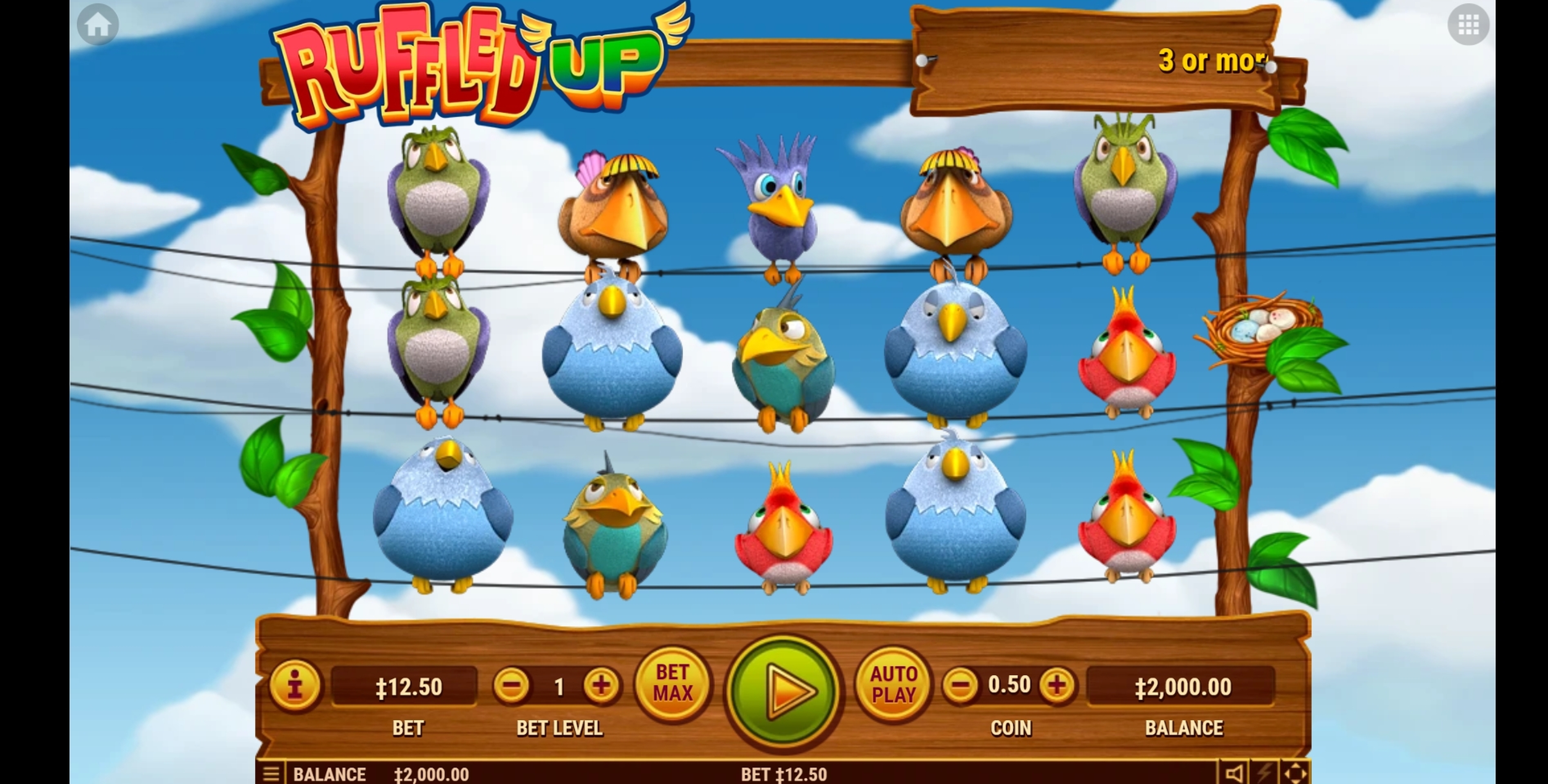 Reels in Ruffled Up Slot Game by Habanero