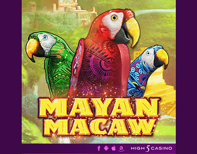 Mayan Macaw demo