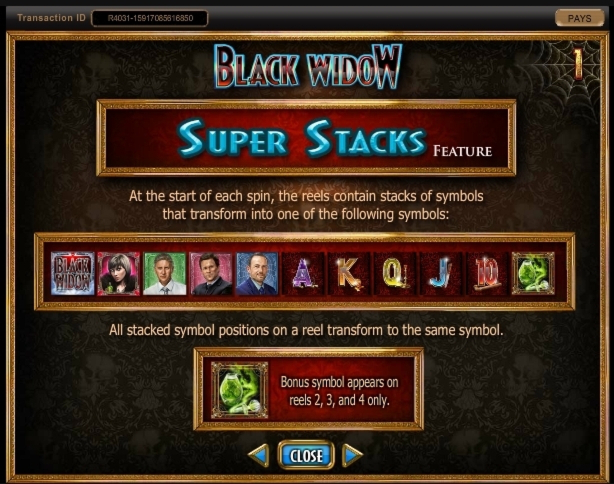 Info of Black Widow Slot Game by IGT