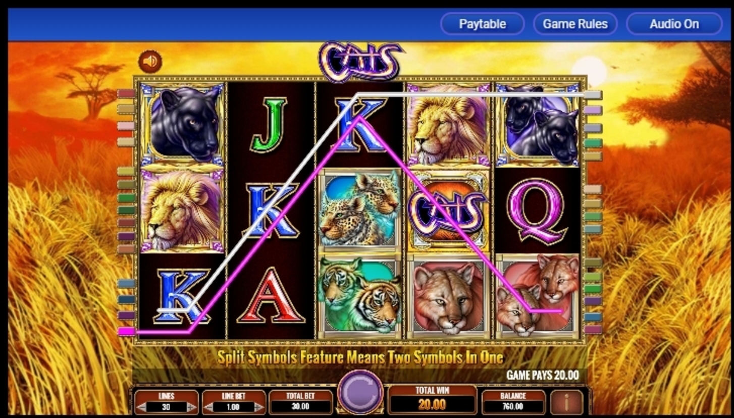 Win Money in Cats Free Slot Game by IGT