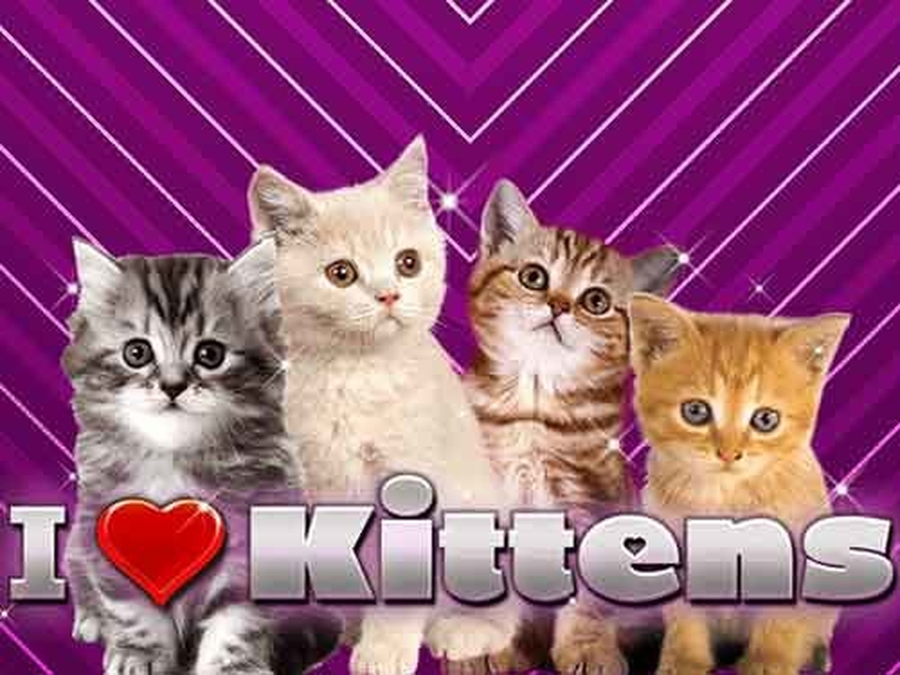 I Love Kittens demo