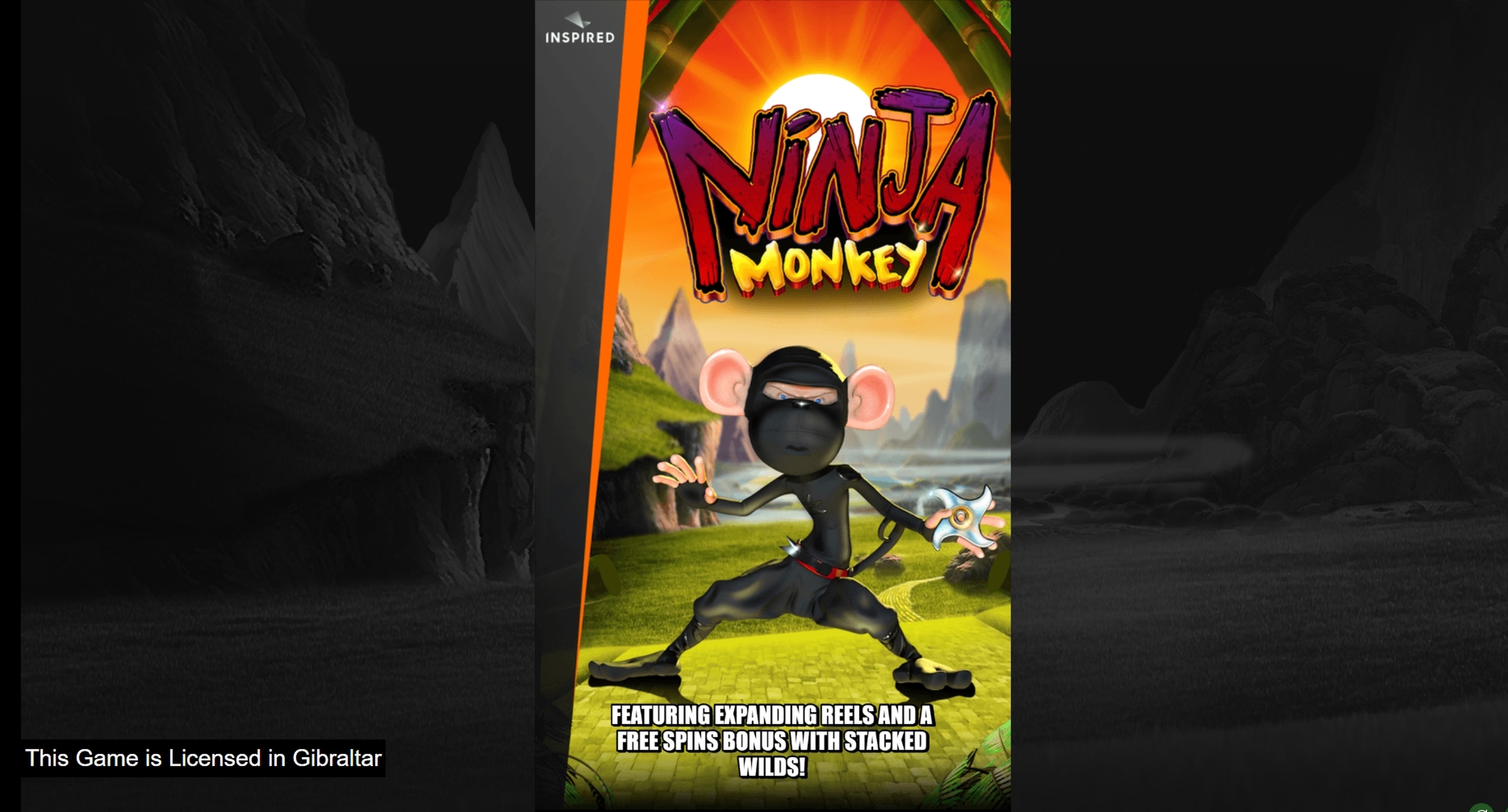 Ninja Monkey demo