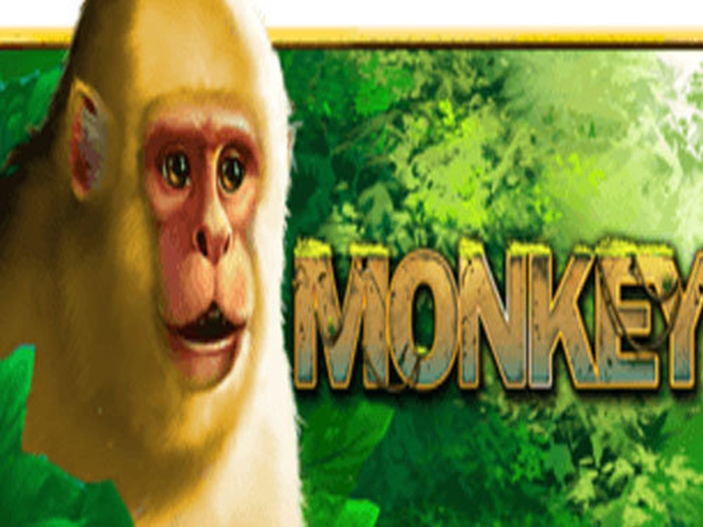 The Monkey (PlayStar) Online Slot Demo Game by PlayStar