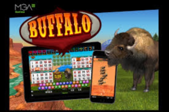 The Buffalo Bingo Online Slot Demo Game by MGA