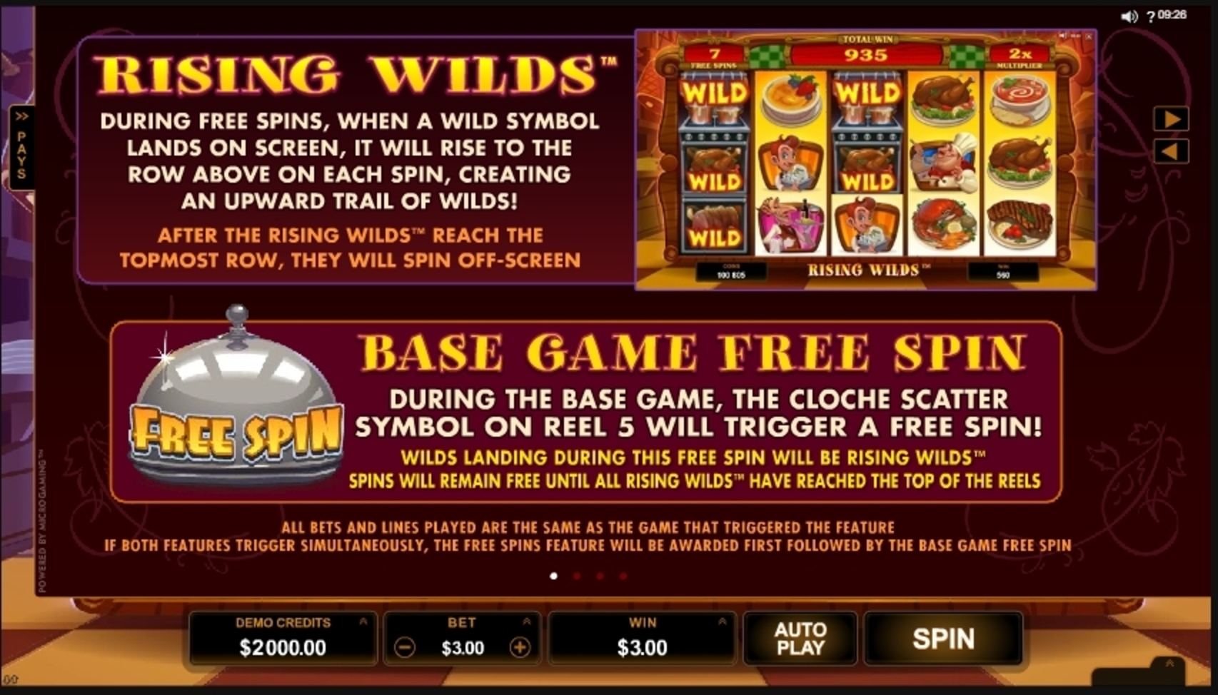 Info of Big Chef Slot Game by Microgaming