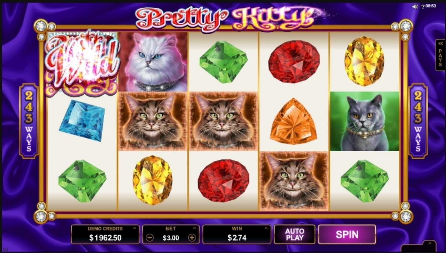 Win Money in Pretty Kitty Free Slot Game by Microgaming