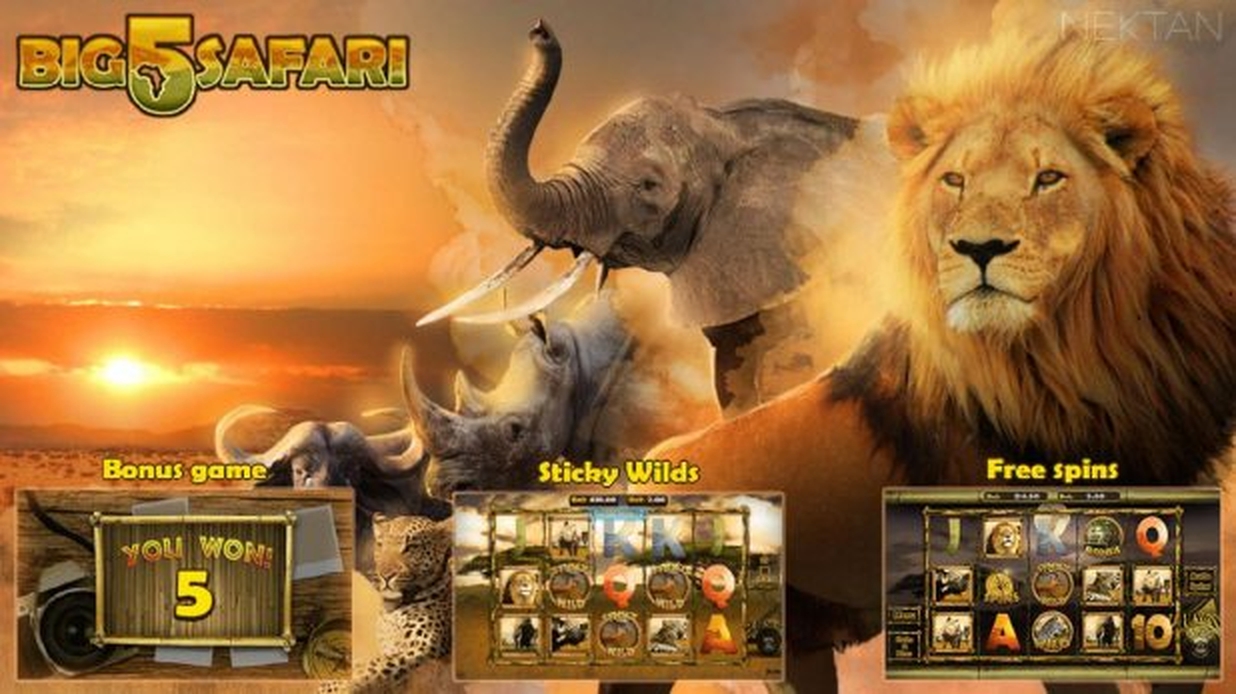 Big 5 Safari demo