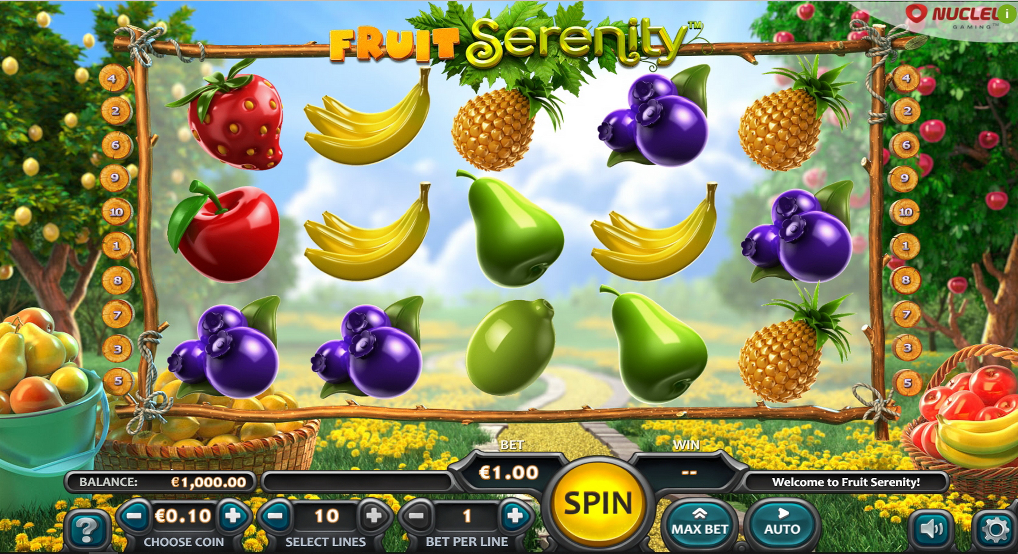 Reels in Fruit Serenity Slot Game by Nucleus Gaming