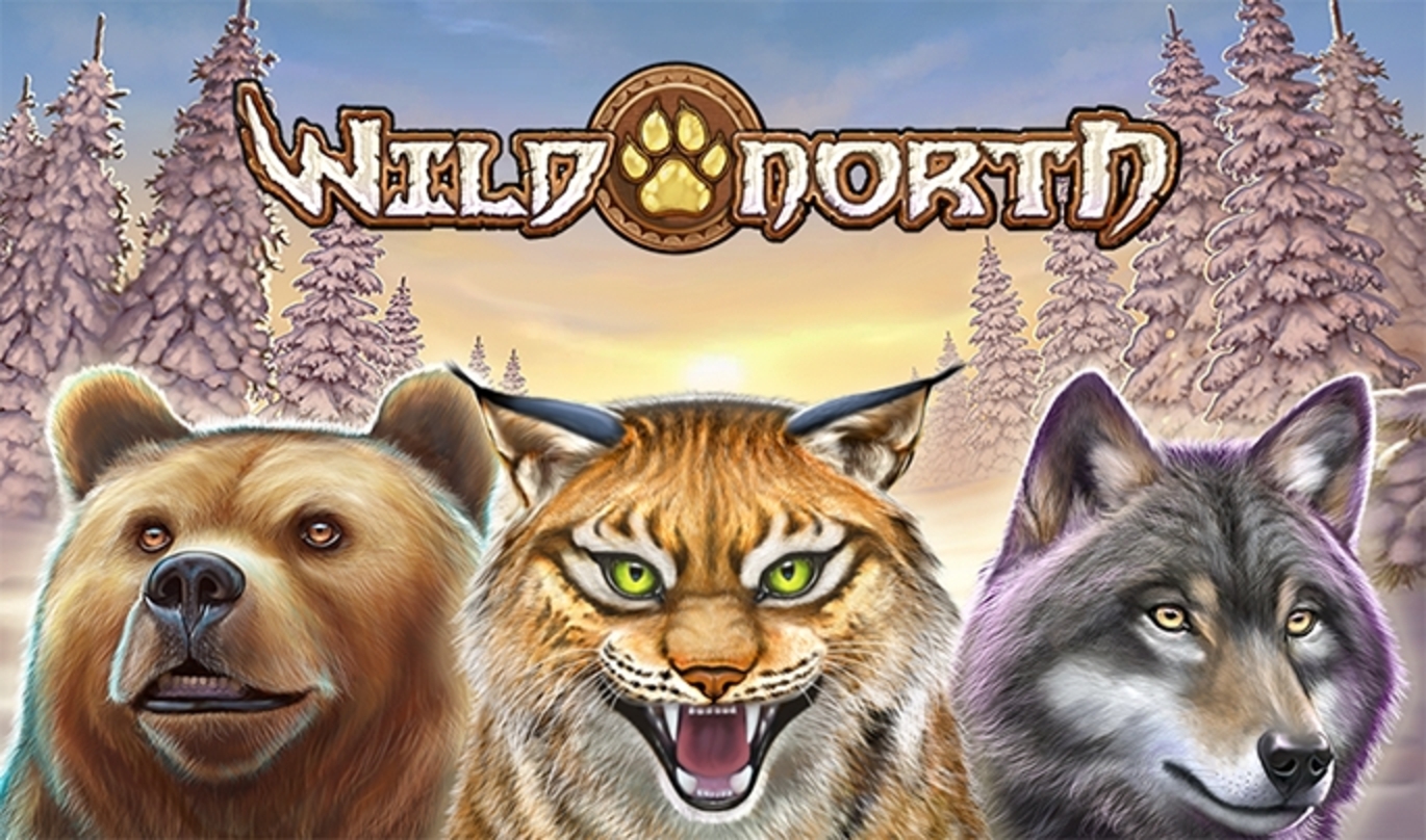 The Wild North Online Slot Demo Game by Playn GO