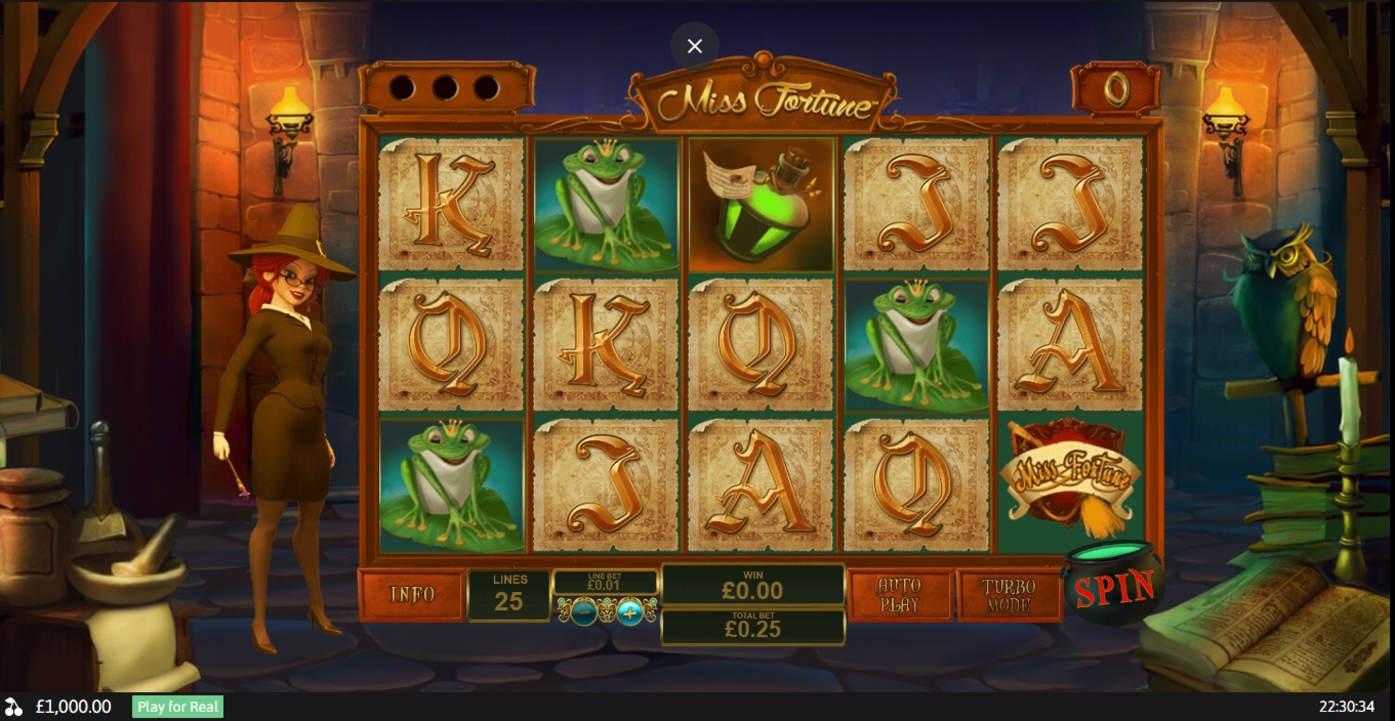 Reels in Miss Fortune Slot Game by Playtech