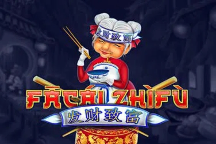 FaCai ZhiFu demo
