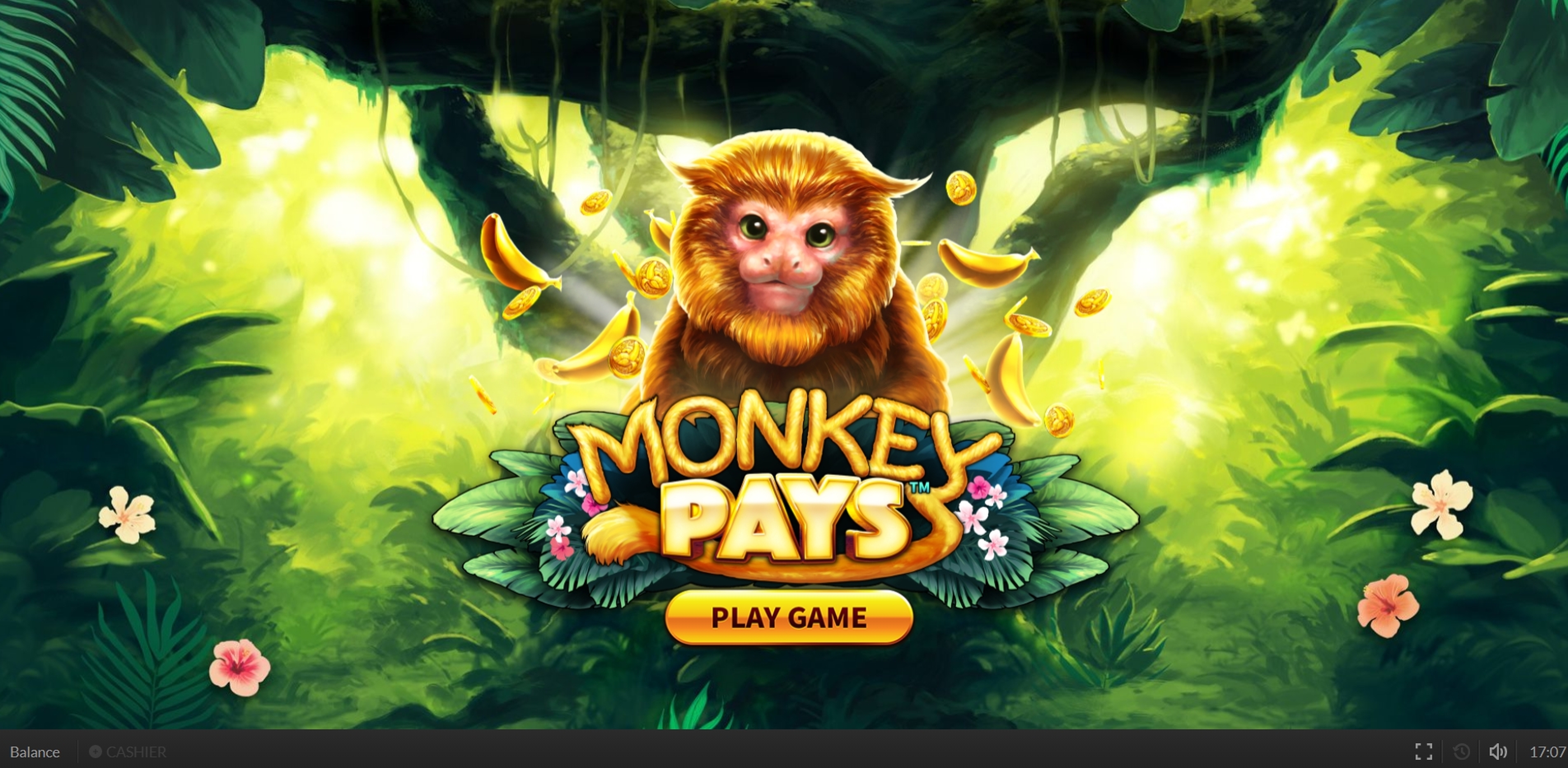 Monkey Pays demo