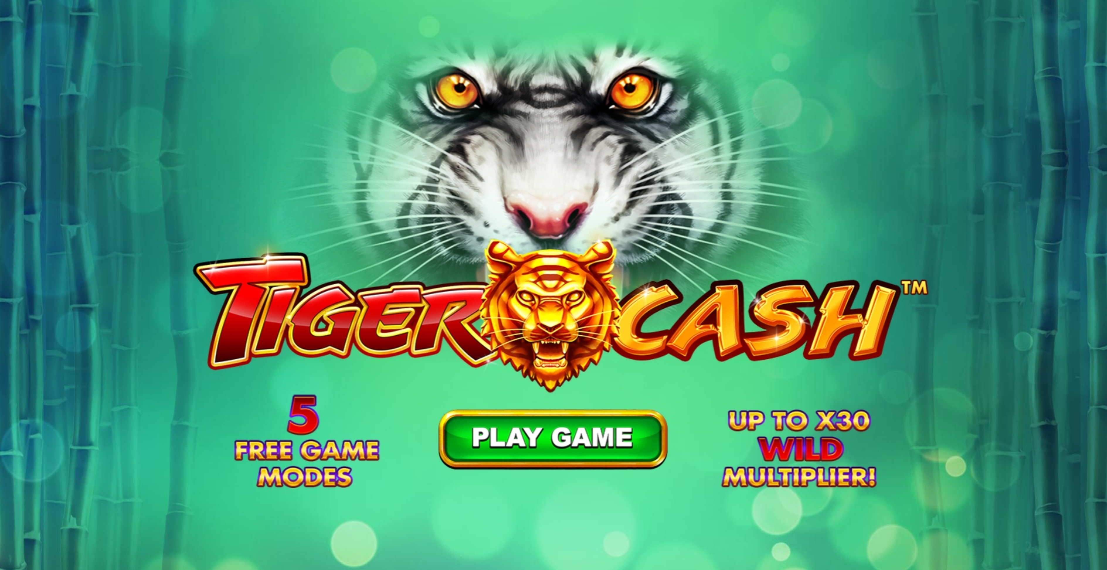 Play Tiger Cash Free Casino Slot Game by Skywind