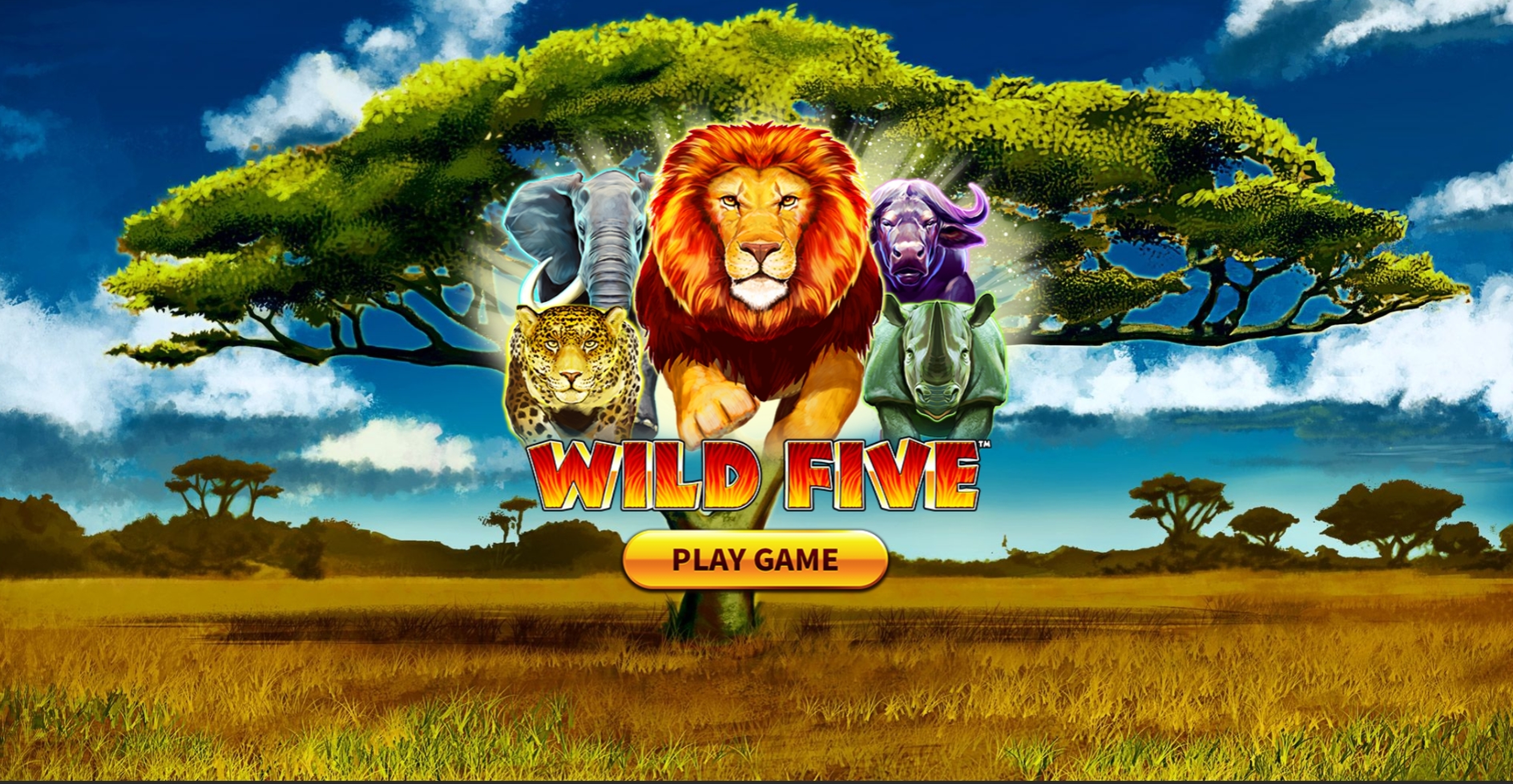 Wild Five demo