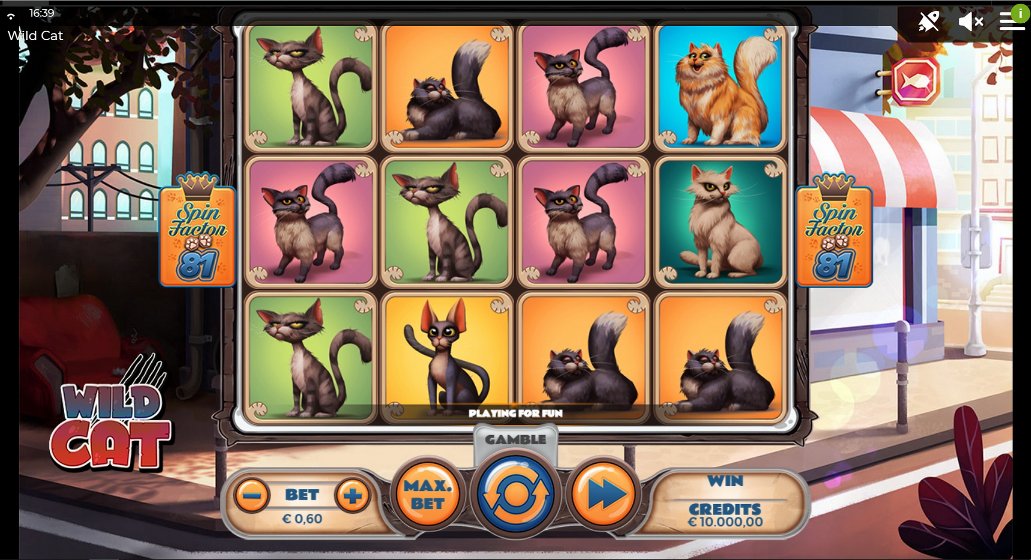 Reels in Wild Cat Slot Game by Spinmatic