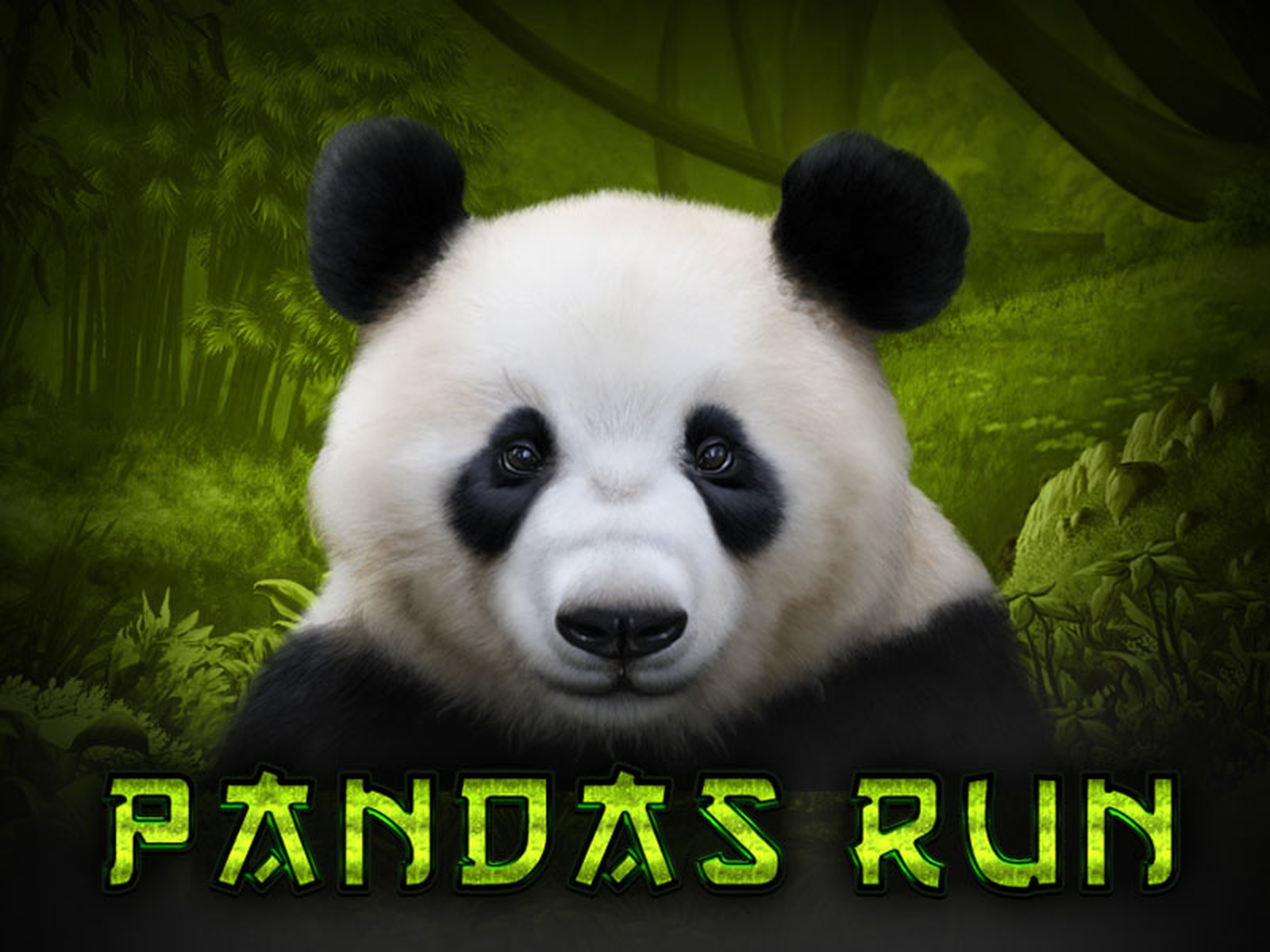 The Panda's Run Online Slot Demo Game by Tom Horn Gaming