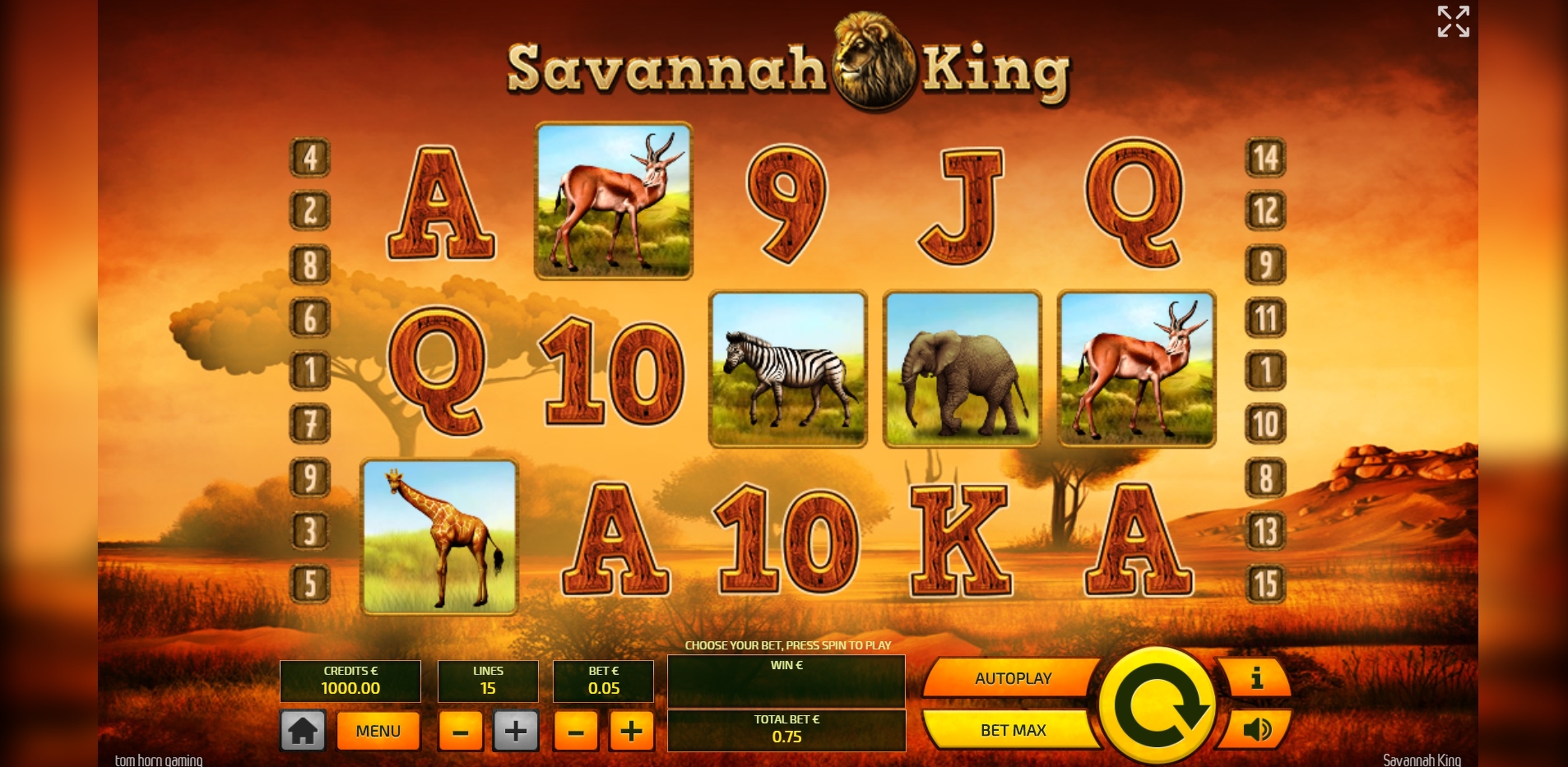 Reels in Savannah King Slot Game by Tom Horn Gaming