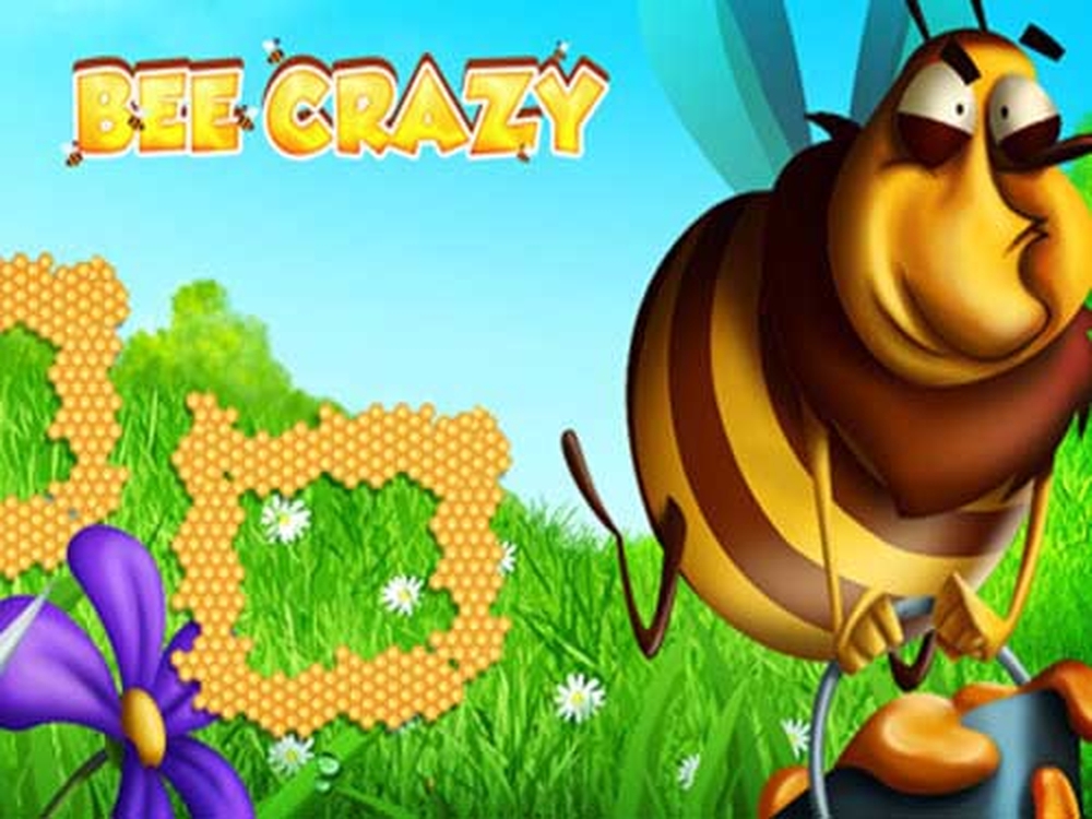 Bee Crazy HD demo
